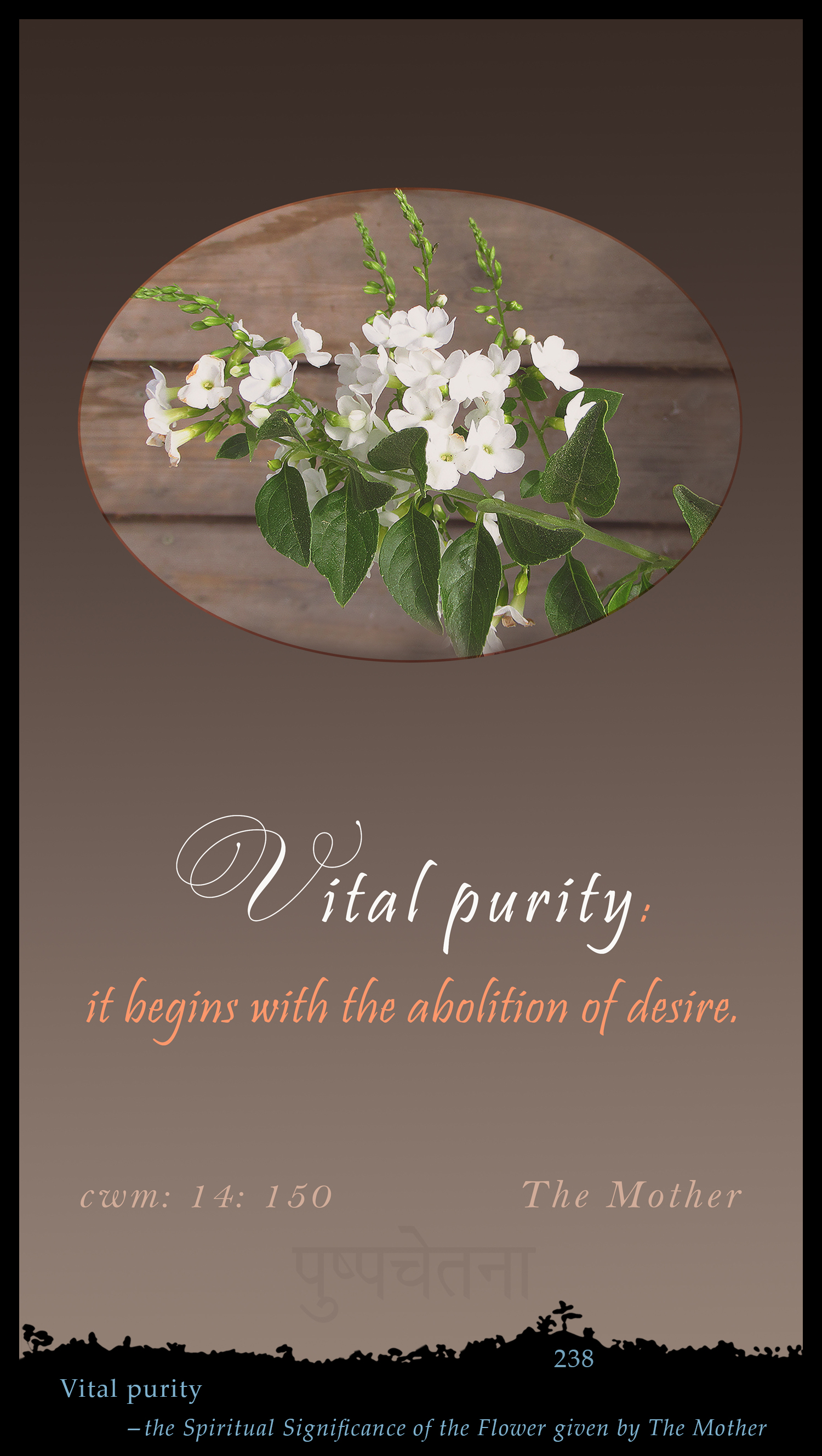 Vital Purity
